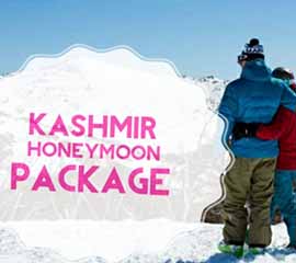 Incredible Kashmir Honeymoon Package